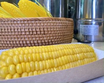 Вареная кукуруза